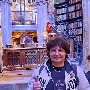 Do Anglie za Harry Potterem