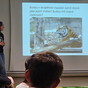 Terénní exkurze na Šumavě