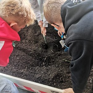 Archeologem na zkoušku
