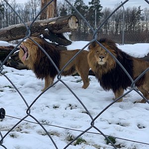 Zoo Na Hrádečku