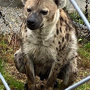 Bioologická exkurze do Zooparku Horní Pěna