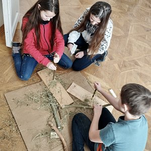 Zažij pravěk