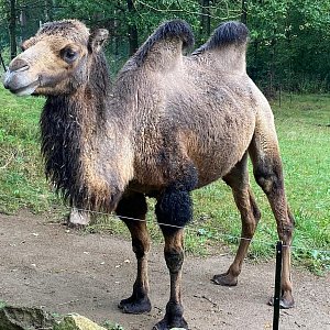 Bioologická exkurze do Zooparku Horní Pěna
