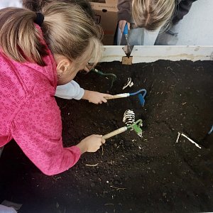 Archeologem na zkoušku