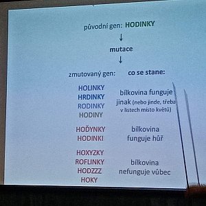 Proč studujeme genomy?