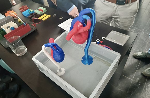 3D soutěž v Liberci: Dačičtí studenti bodovali s modelem lidského srdce
