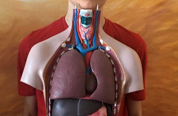 Třetí místo v okresním kole olympiády z biologie